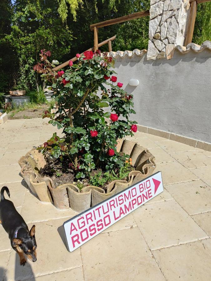 Agriturismo Rosso Lampone Cerreto Laziale Exterior foto